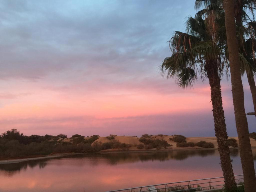 Apartamentos Oasis Maspalomas 마스팔로마스 외부 사진